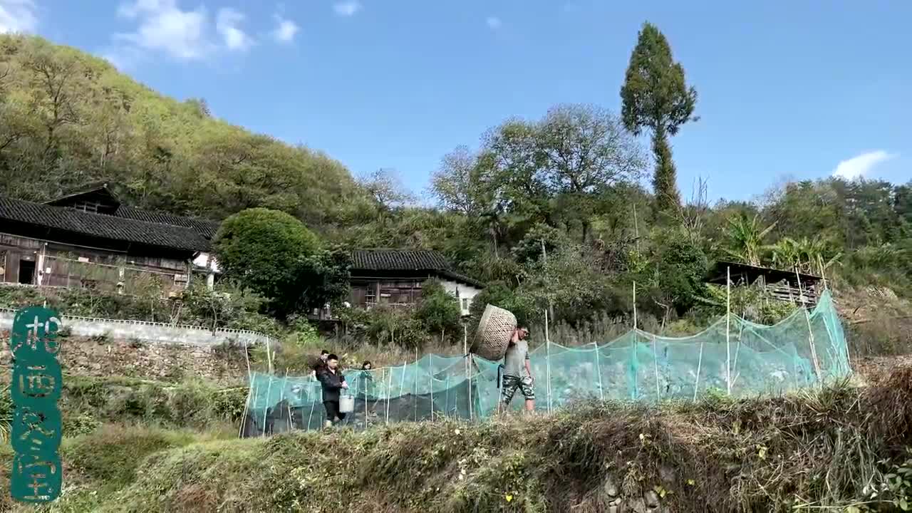 [图]冬宝抓11条稻花鱼，叫上弟弟妹妹打平伙，吃着火锅烤着火，太爽了