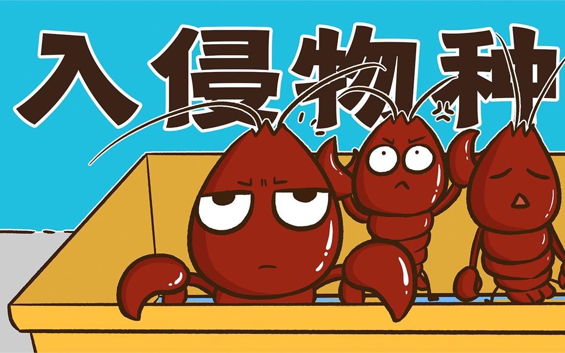 小龙虾,龙虾,有什么区别?搞笑动漫