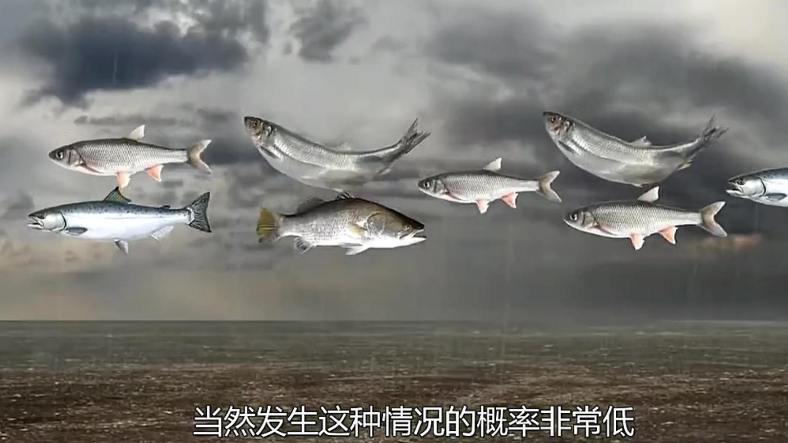 印度下了场“鱼雨”，人们纷纷上街捞鱼，到底哪来的_哔哩哔哩_bilibili