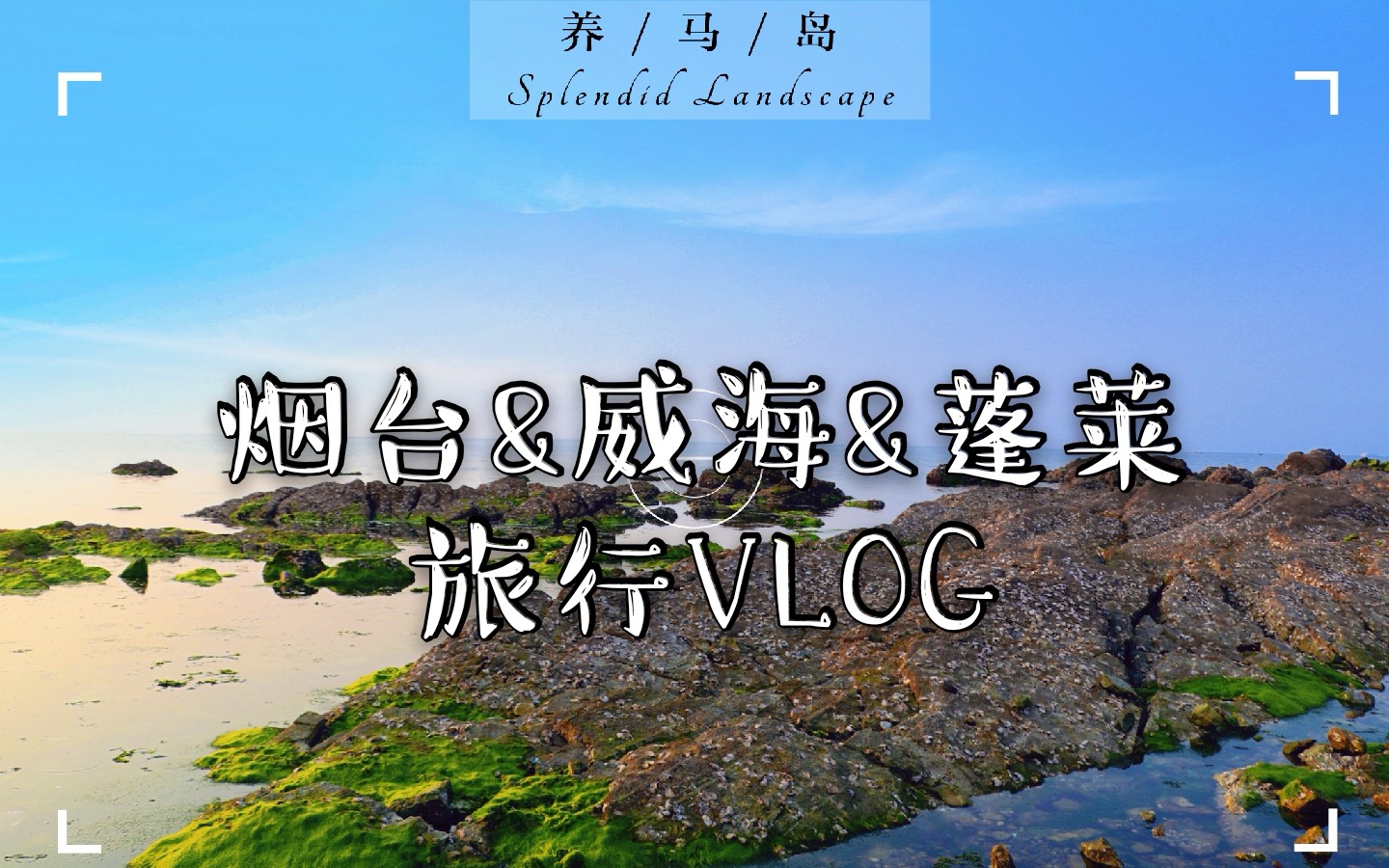 毕业旅行山东烟台&威海&蓬莱六日旅行VLOG哔哩哔哩bilibili