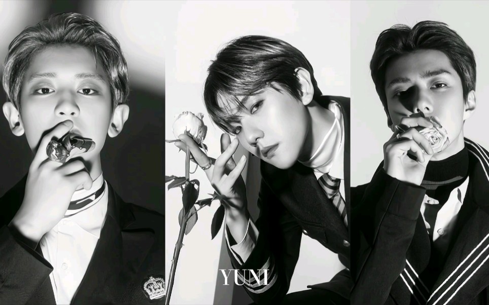 活动作品灿白勋三大alpha合体