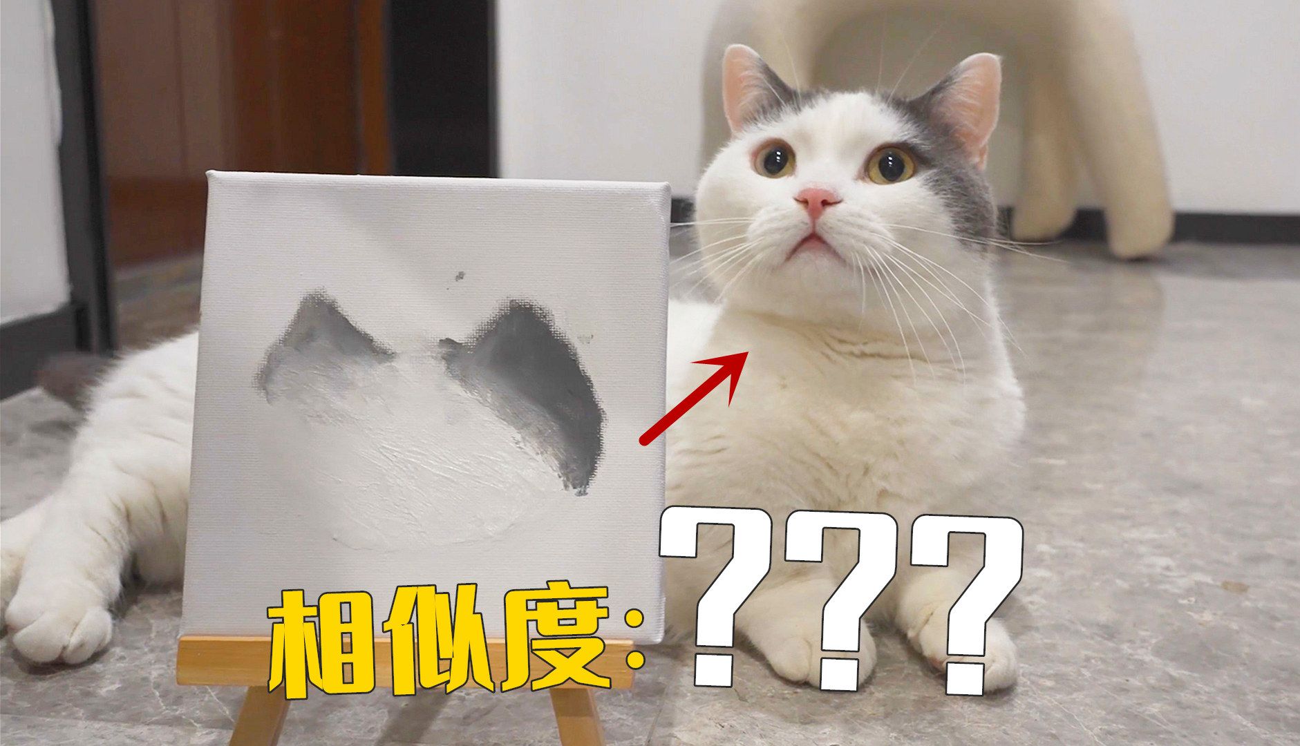 哪只猫咪画自己最像?奖励100斤猫薄荷!-萌猫宝哥哥-萌猫宝哥哥-哔哩哔哩视频