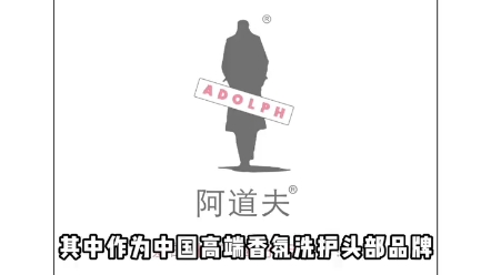 阿道夫洗发水不错的