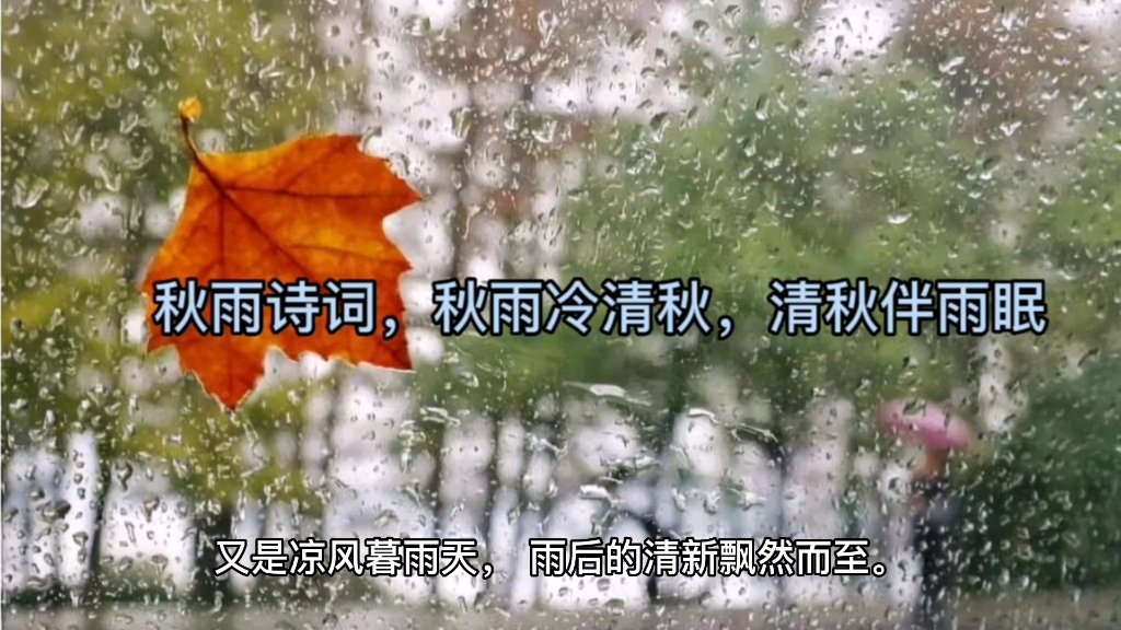 秋雨诗词,秋雨冷清秋,清秋伴雨眠哔哩哔哩bilibili