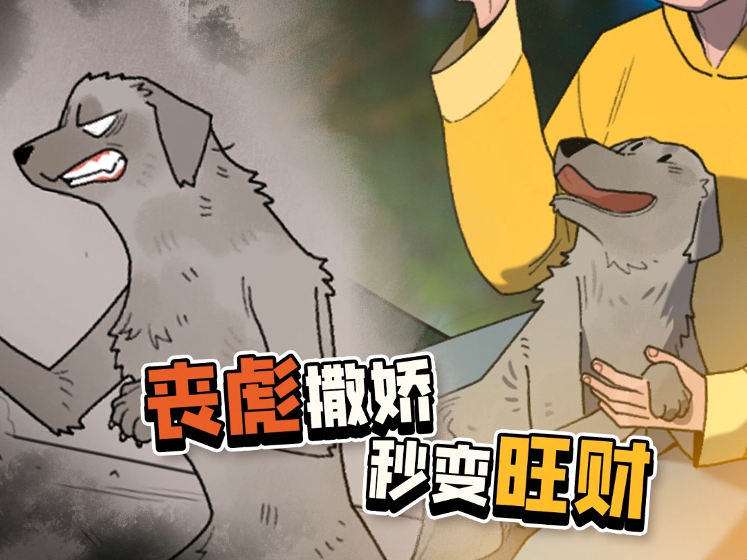 “丧彪”从此退出江湖,只当主人身边依偎摆尾的旺财-喵掌柜老李-喵掌柜老李-哔哩哔哩视频
