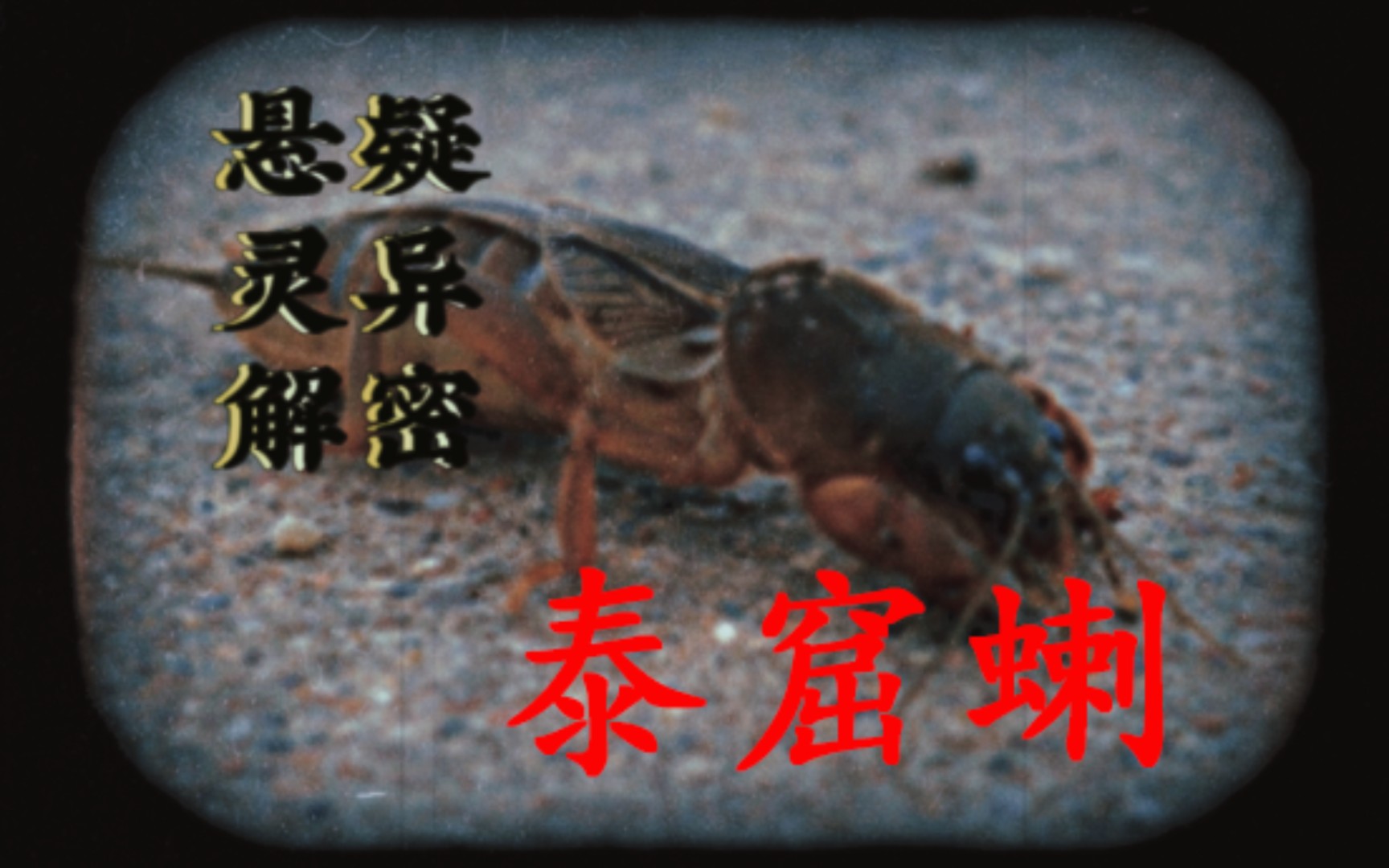 古书中记载的（泰窟蝲）究竟有多可怕？-道人肖黑子-道人肖黑子-哔哩哔哩视频