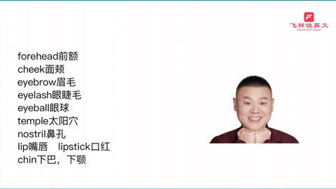 身体部位英语表达 哔哩哔哩 身体部位英语表达 哔哩哔哩