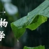 【中国农业大学】植物学 刘朝辉 孟雷（88讲）
