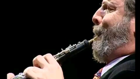 [图]【双簧管】帅气胡子大叔Henrik Chaim Goldschmidt plays Gabriel's Oboe