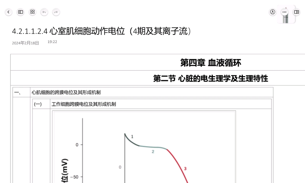 【小白闲扯生理学】血液循环 心室肌动作电位(4期)