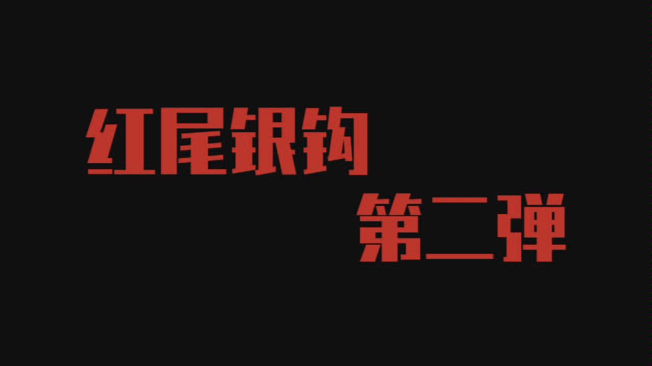 [图]［红尾银钩］给大家拜早年啦