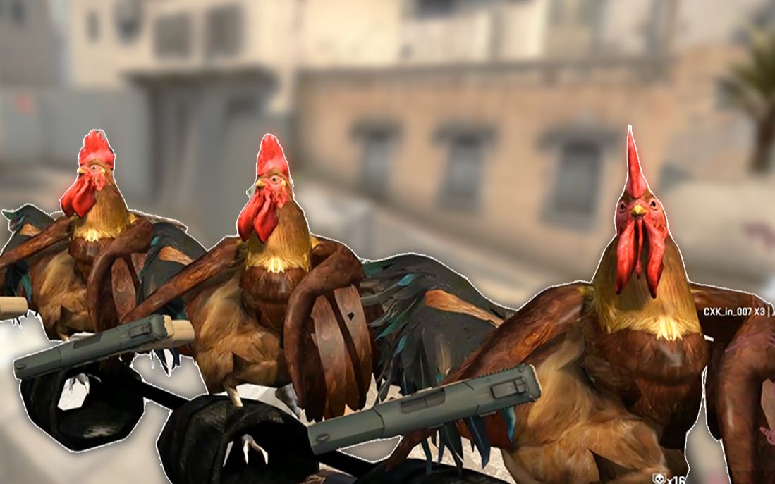 【csgo】影流之鸡_哔哩哔哩_bilibili