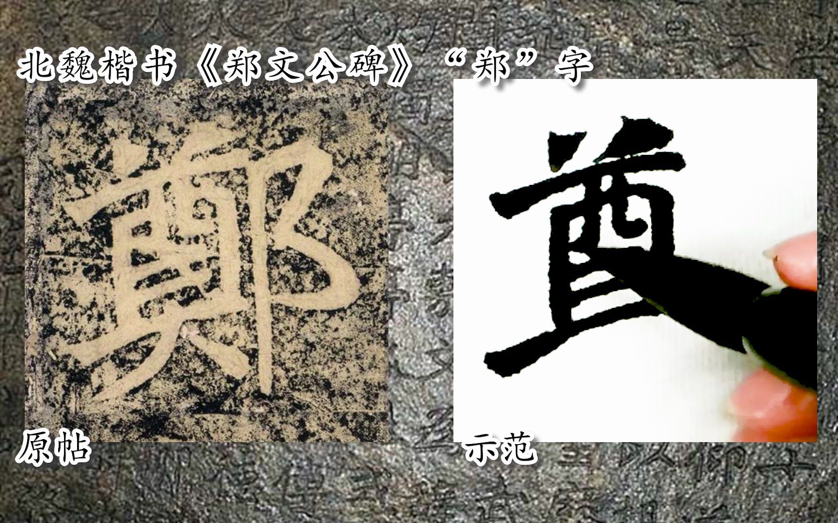 [图]【每日一字】书法视频，周东芬临北魏楷书《郑文公碑》“郑”字