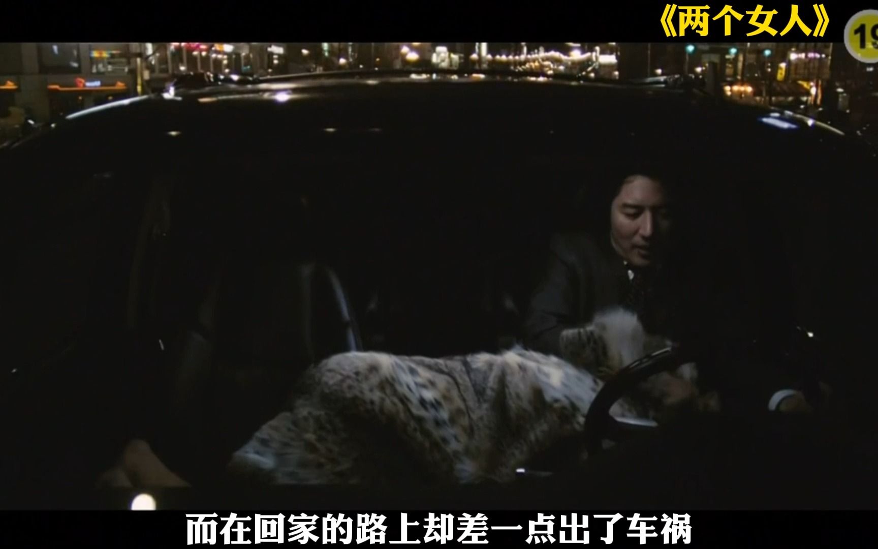 两个女人2