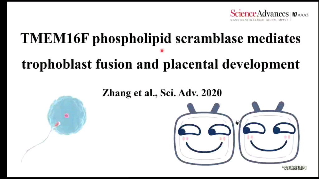【限时文献分享】磷脂翻转酶TMEM16F介导滋养层细胞融合和胎盘发育哔哩哔哩bilibili