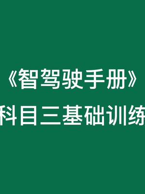 [图]《智驾驶手册》科目三基础训练