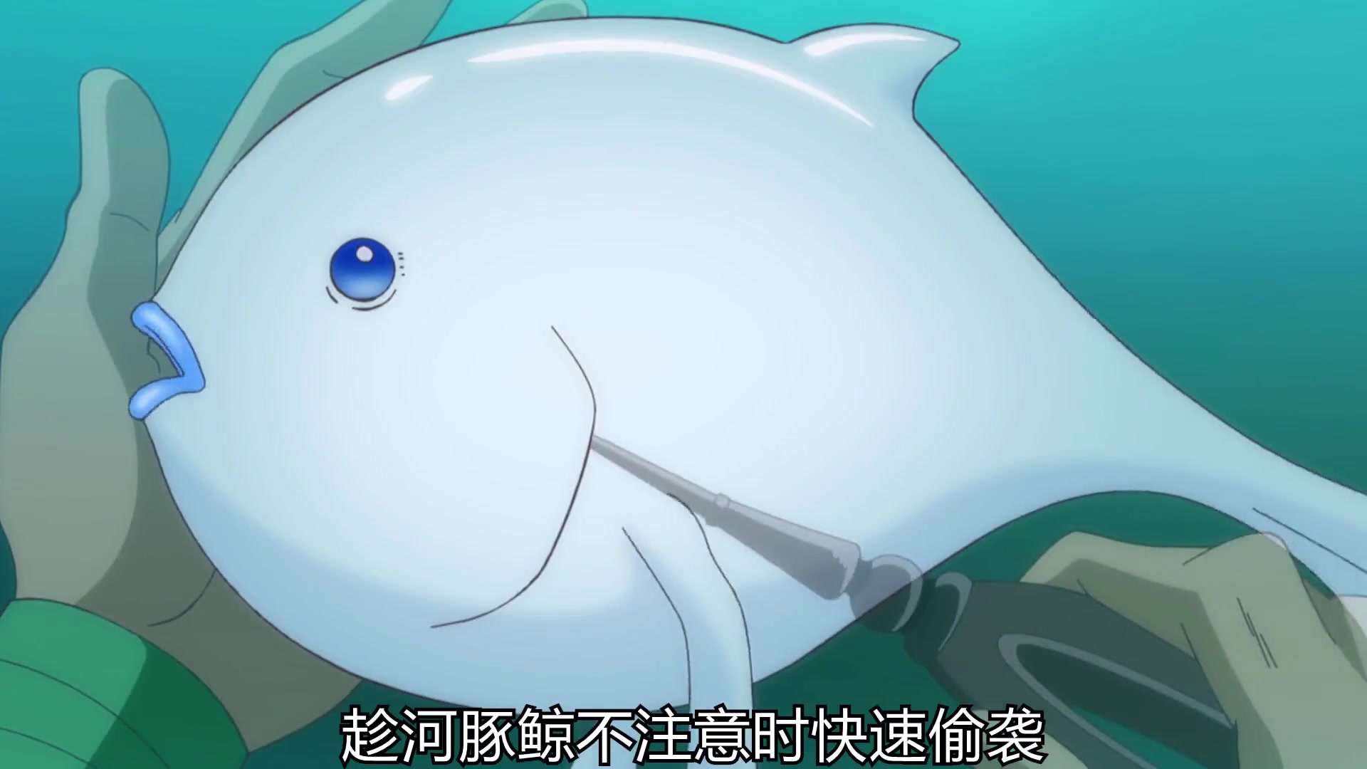 小伙捕获了10条河豚鲸后,却因厨艺不精毒化了9条,血亏90亿美金