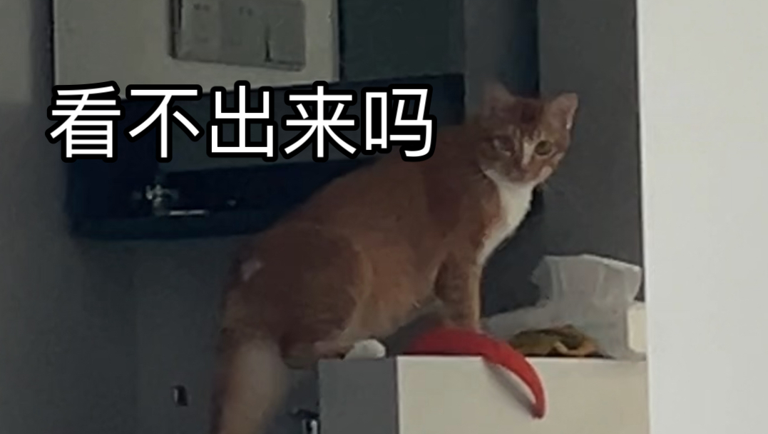 这位三脚猫师傅你想干嘛?哔哩哔哩bilibili