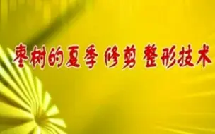 Download Video: 枣树的夏季修剪整形技术