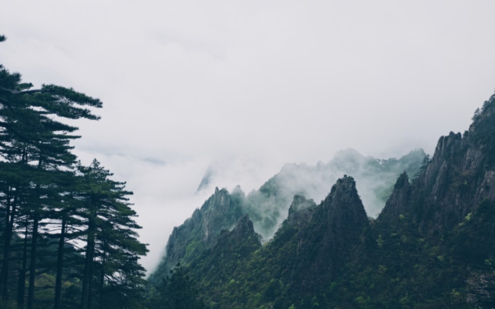 五一黄山之旅——会成为终身难忘的记忆哔哩哔哩bilibili