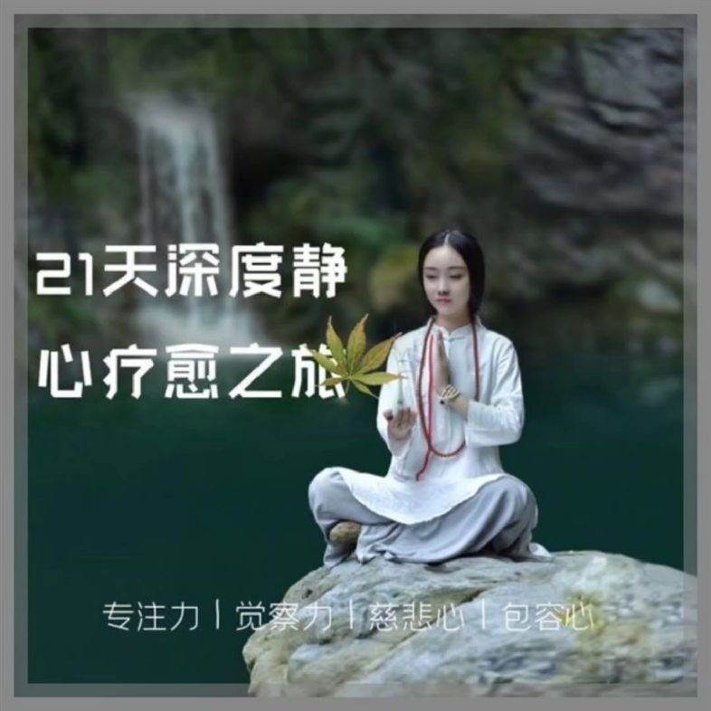 回归觉知觉察静心课程连结内心深度平静创伤疗愈心灵整合技巧素材