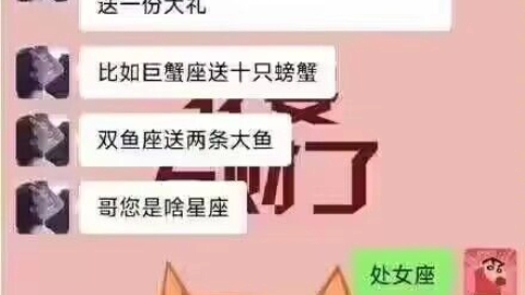 什么公司,我也要充钱哔哩哔哩bilibili