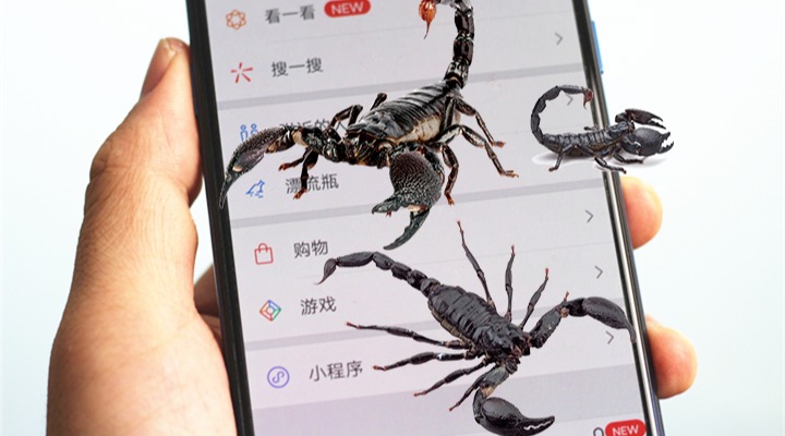 教你给女友手机养群"蝎子",打开微信蝎子就爬出来,太好玩了!