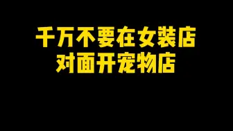 Download Video: 我的店要是黄了，它有着不可推卸的责任！