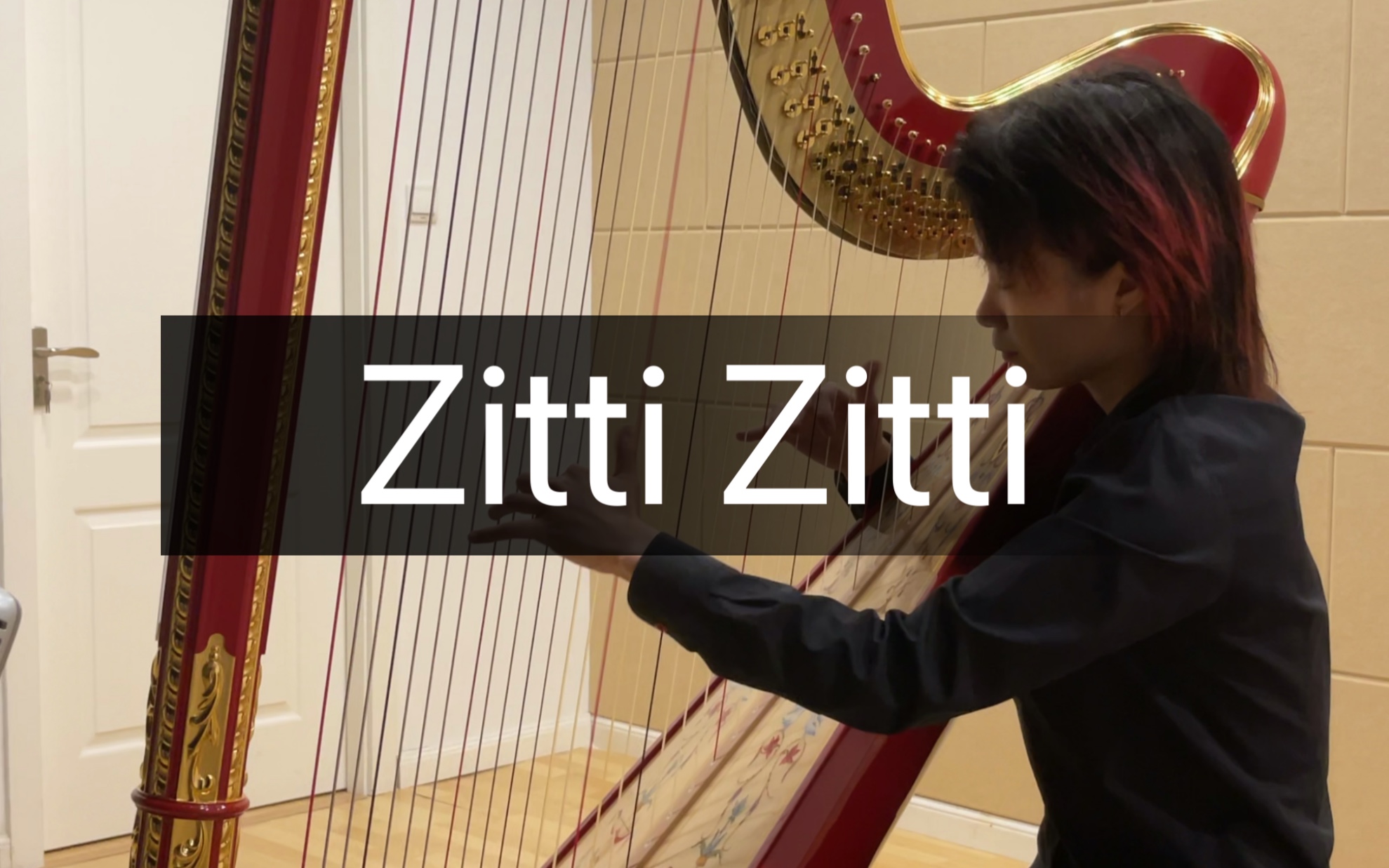 「张馨月独奏音乐会」罗西尼《塞尔维亚的理发师》安静 Rossini Round on ＂Zitti Zitti＂ Ch.Bochsa哔哩哔哩bilibili