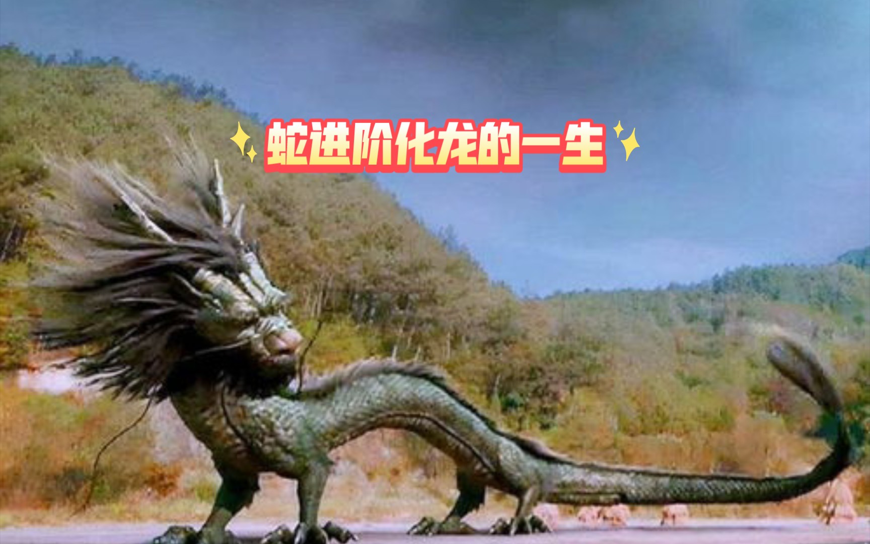 蛇进阶为龙的一生(b站首投)