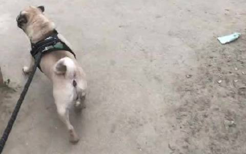 对不起大哥,体力不好没跟上你.