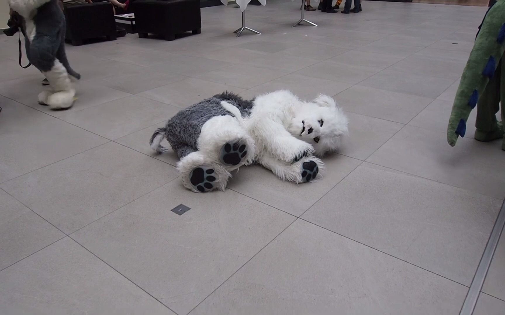 quadruped furries, fursuiter and furs【quadsuit】_哔哩哔哩_bili