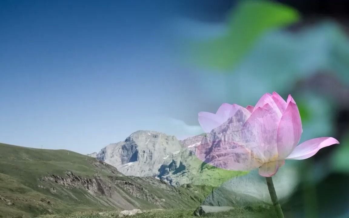 稳中求胜——中产的财富路径与资产配置