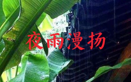 诗词欣赏:无语者《夜雨漫扬》哔哩哔哩bilibili