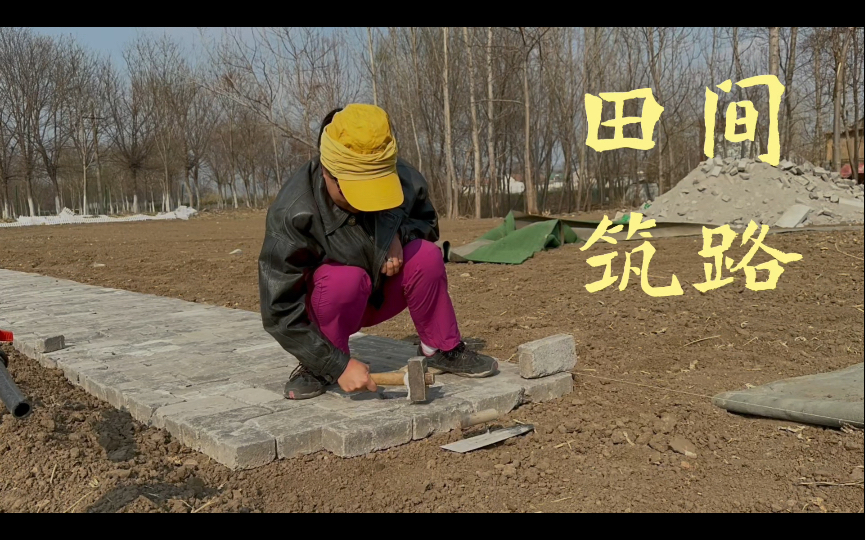 Build Pavements in a Field 田间筑路哔哩哔哩bilibili