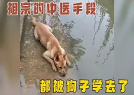 Video herunterladen: 原来不是中医没落了，而是老祖宗的手段都被狗子们学了去！