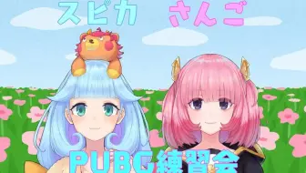 Vtuber 一起练习pubg 初心者 哔哩哔哩 Bilibili