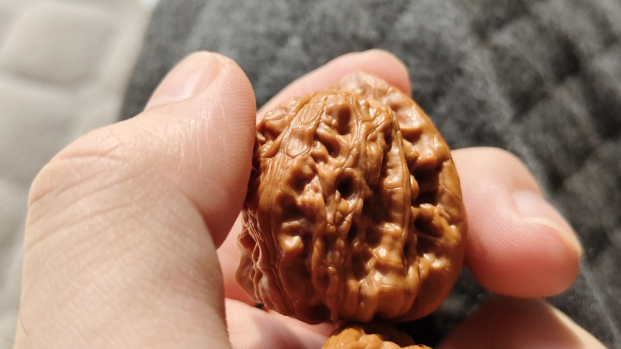 毕业级 核尊 拍卖咯 快来瞧瞧好核桃!_哔哩哔哩_bilibili