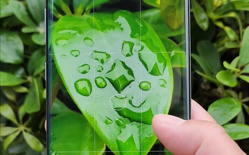 三星note10  5g手机摄影展示:效果依然惊艳