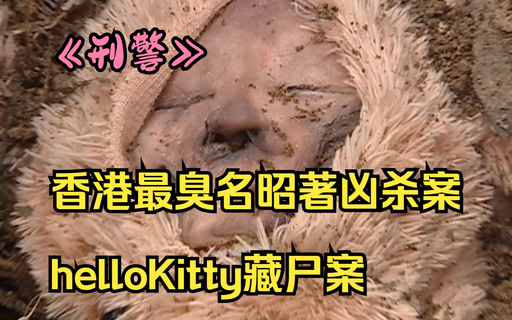 【hello kitty藏尸案】香港最臭名昭著的凶杀案,女孩头颅被一群禽兽藏