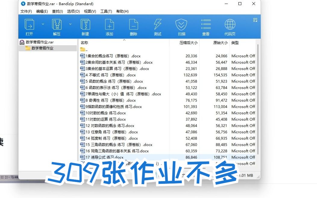 [图]寒假作业？309张？