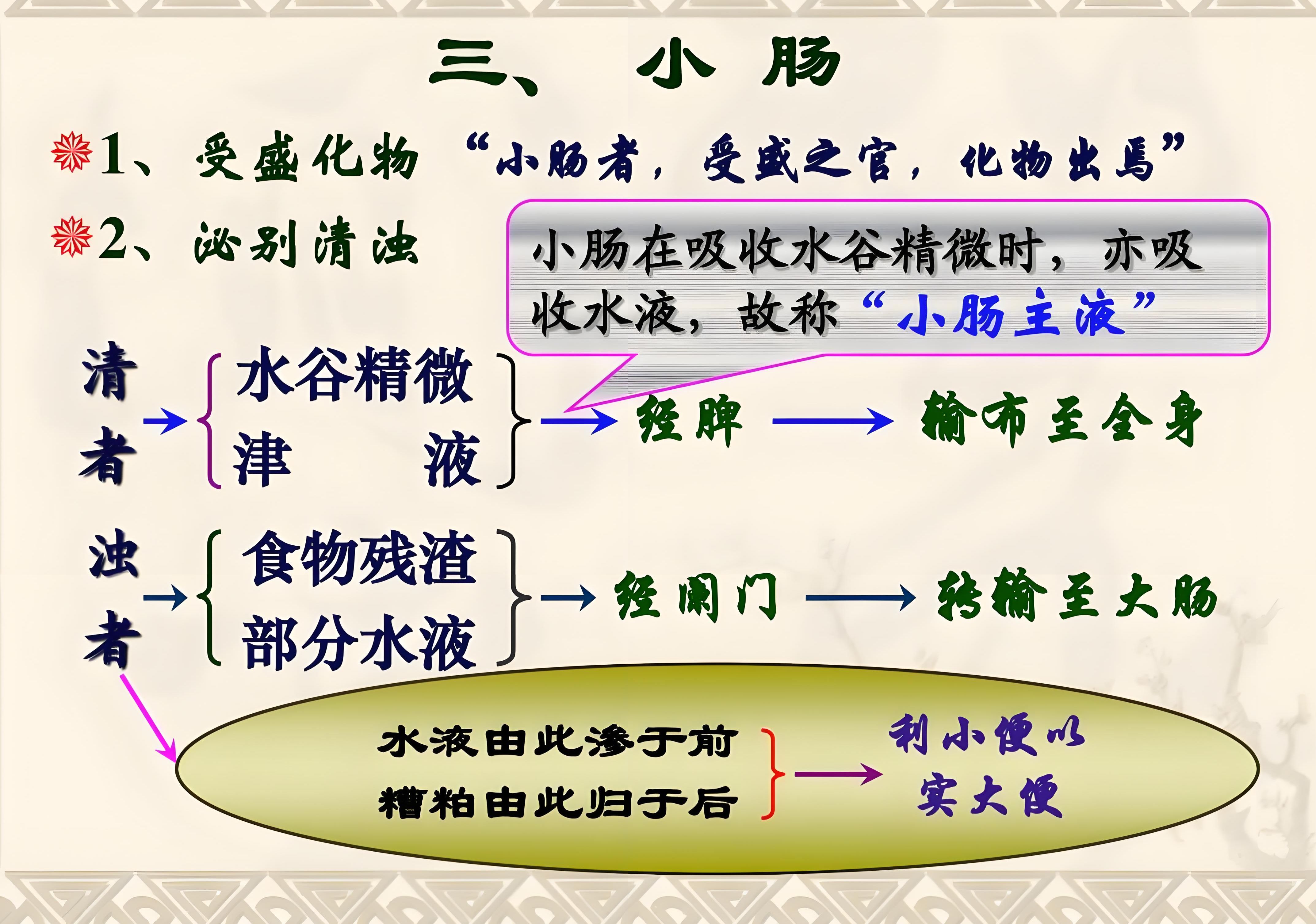 第88讲:【黄帝内经】小肠者,受盛之官,化物出焉哔哩哔哩bilibili