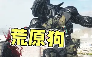 Download Video: 【COD20】真CP评测第41期，共鸣终极外观？荒原狗！