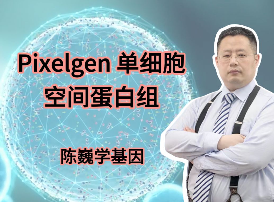 【陈巍学基因】视频128:Pixelgen 单细胞空间蛋白组哔哩哔哩bilibili