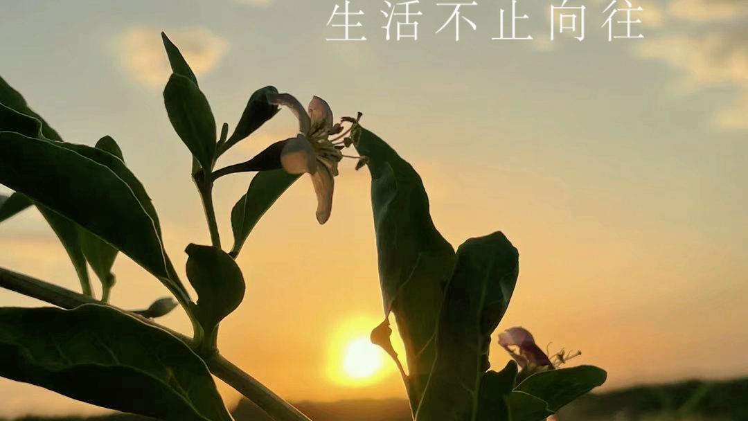 生活美好,充满向往.互看,有赞必回50播放量