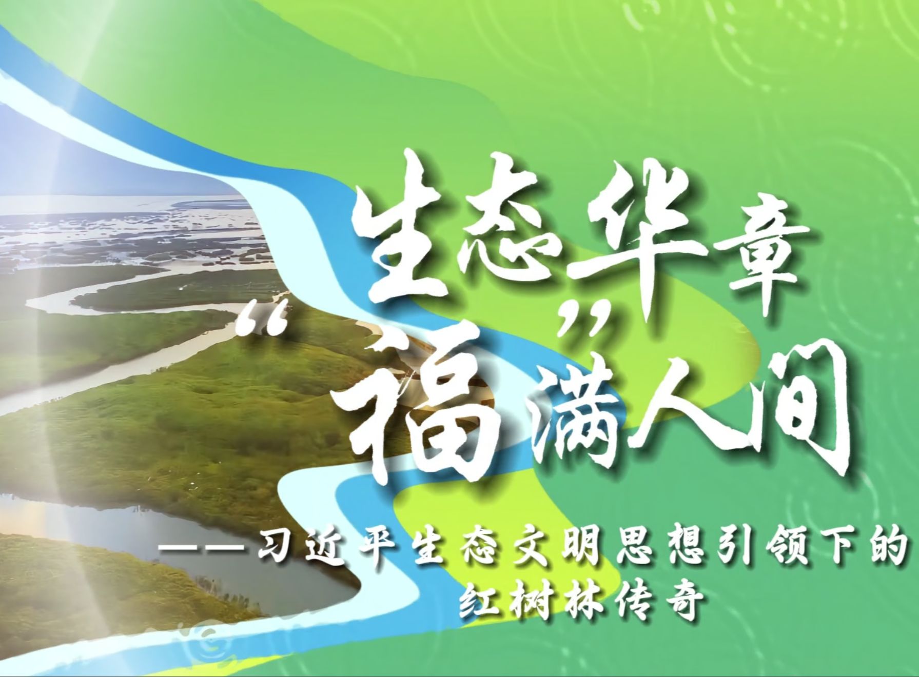 第八届全国高校大学生讲思政课公开课展示活动参赛作品【完整版】|《生态华章,“福”满人间——习近平生态文明思想引领下的红树林传奇》哔哩哔哩...