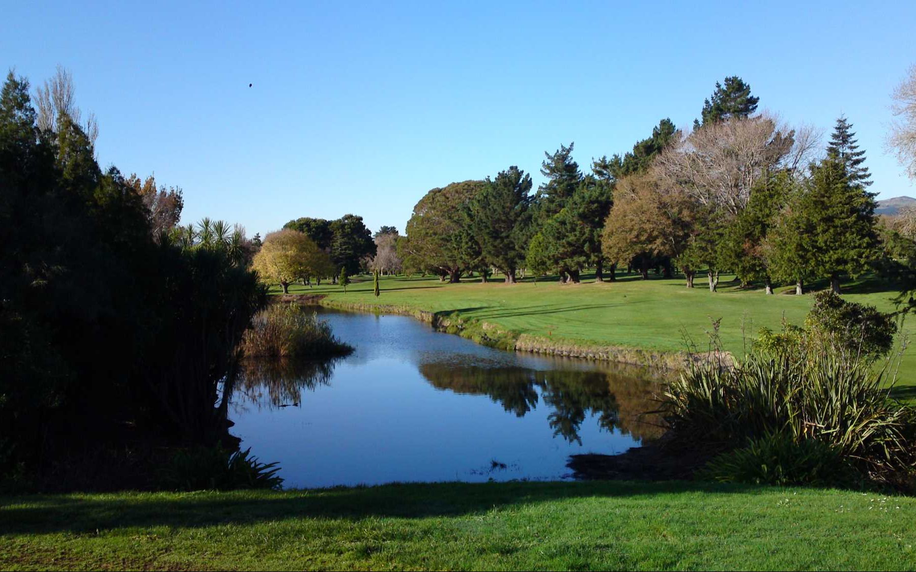 新西兰|palmerston north 北帕默斯顿