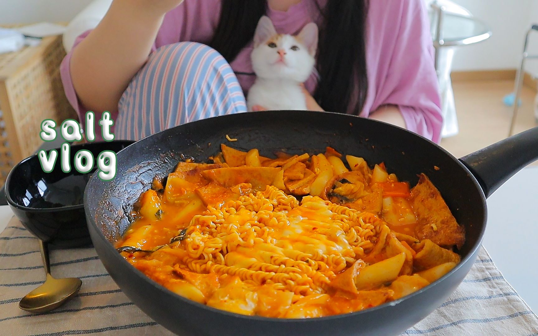 【salt vlog】和猫一起快乐生活记录:夏天呆在咖啡店|正宗韩国炒年糕|蔬菜豆腐卷|吃了好吃的越南米粉|画好家具设计图哔哩哔哩bilibili