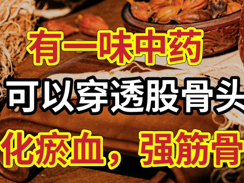 有一味中药可以穿透“股骨头”,化瘀血,强筋骨,股骨头坏死很怕它!哔哩哔哩bilibili