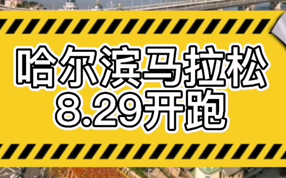 哈尔滨马拉松8月29日开跑,金牌赛事,豪华补给#马拉圈哔哩哔哩bilibili